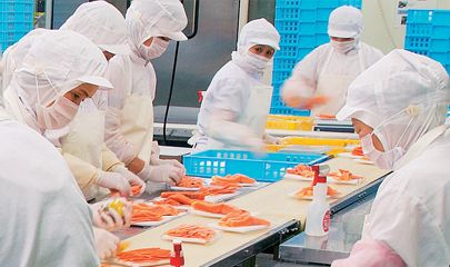 Food processing factory workers maintaining hygiene in handling raw food